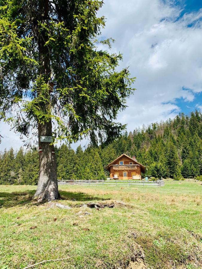 Appartamento Bergheimat Bad Goisern Esterno foto