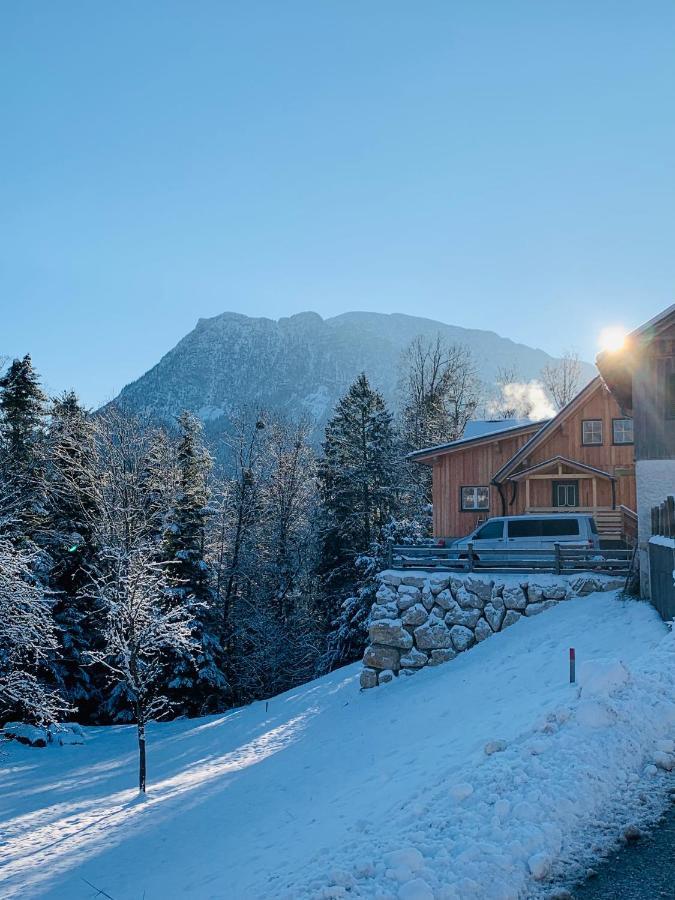 Appartamento Bergheimat Bad Goisern Esterno foto