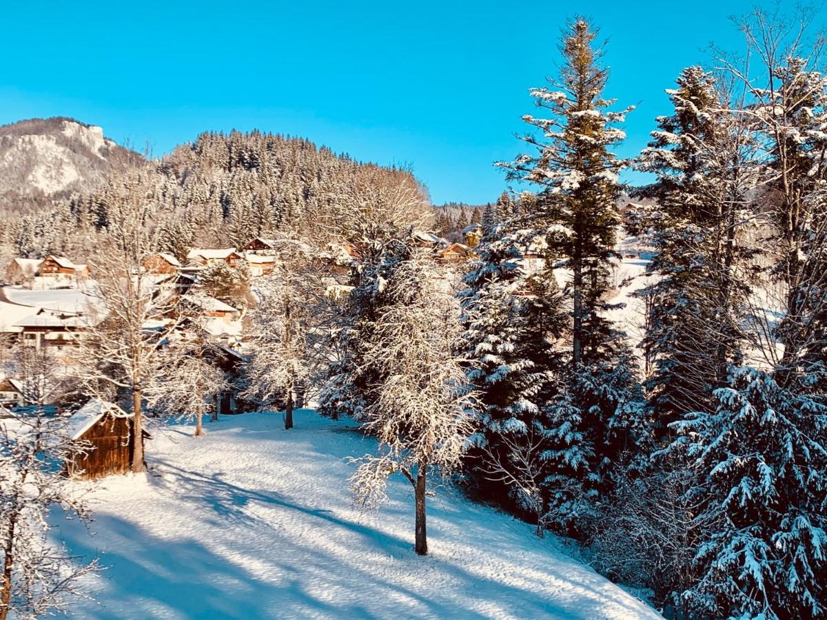 Appartamento Bergheimat Bad Goisern Esterno foto